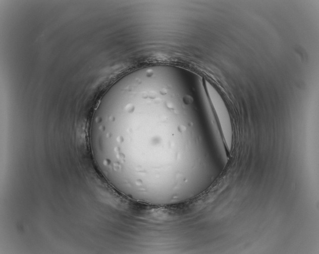 X0000111510423200908111313