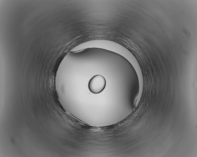 X0000111510425200908111313