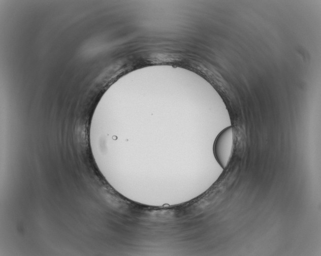 X0000111510426200908111313