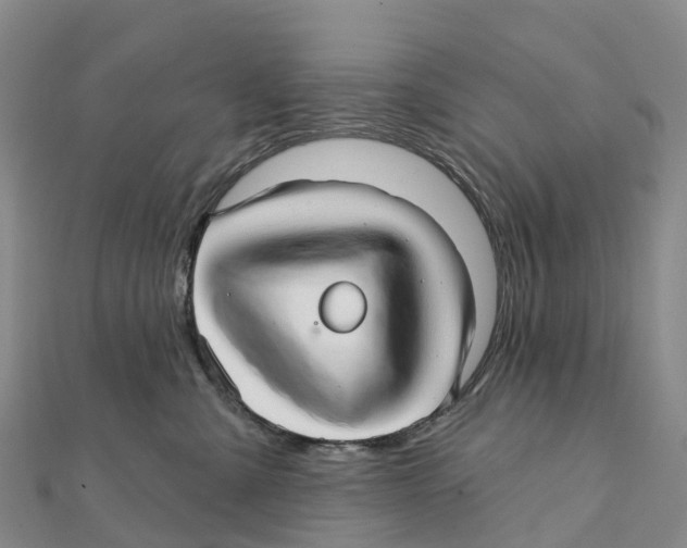X0000111510427200908111313