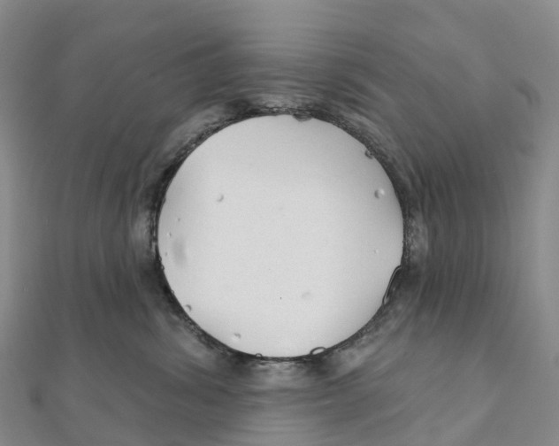 X0000111510428200908111313
