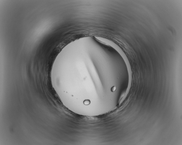 X0000111510429200908111313
