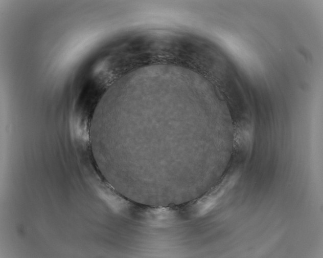 X0000111510431200908111313