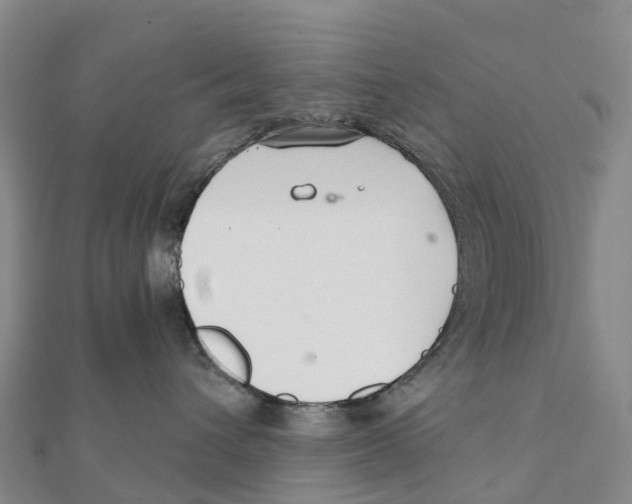 X0000111510432200908111313