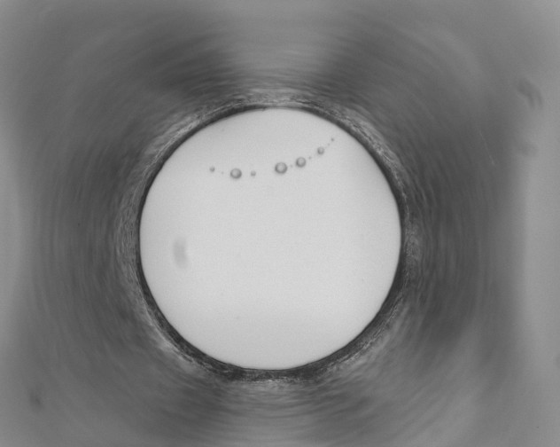 X0000111510433200908111312