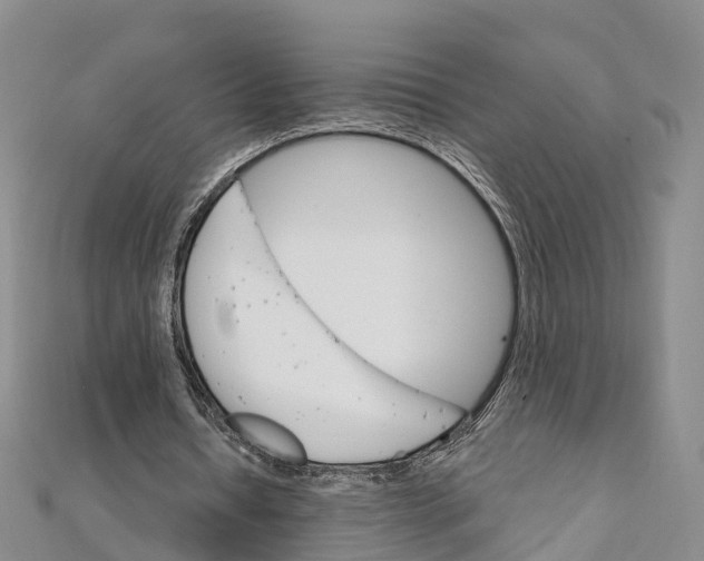 X0000111510434200908111312