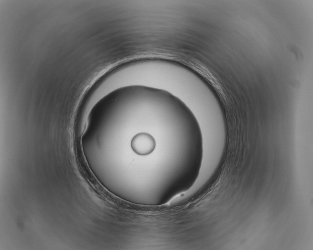 X0000111510436200908111312