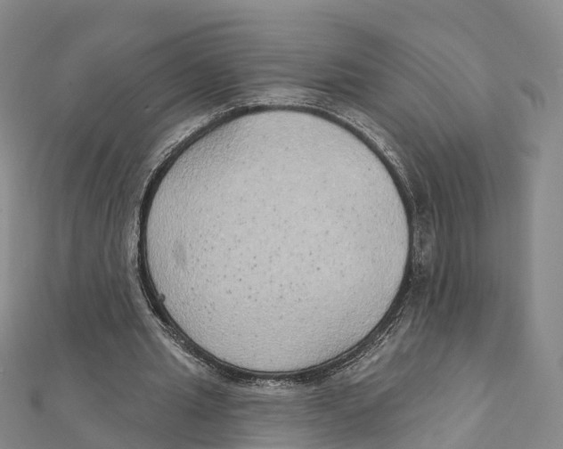 X0000111510437200908111312