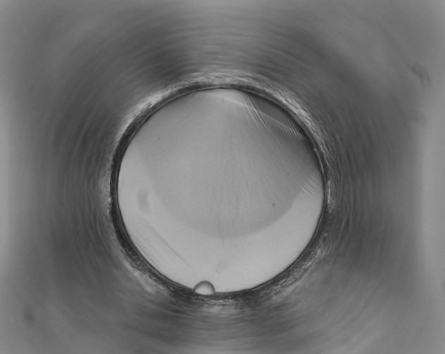 X0000111510438200908111312