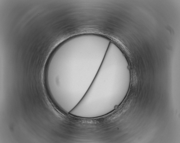 X0000111510439200908111312