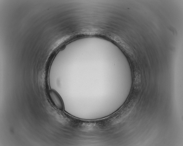 X0000111510440200908111312