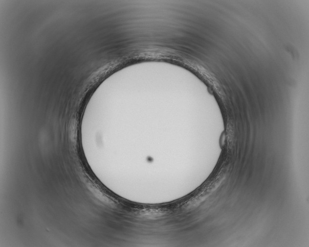 X0000111510445200908111312