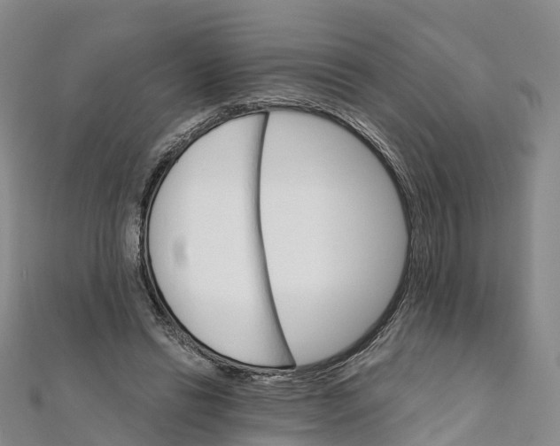 X0000111510446200908111312