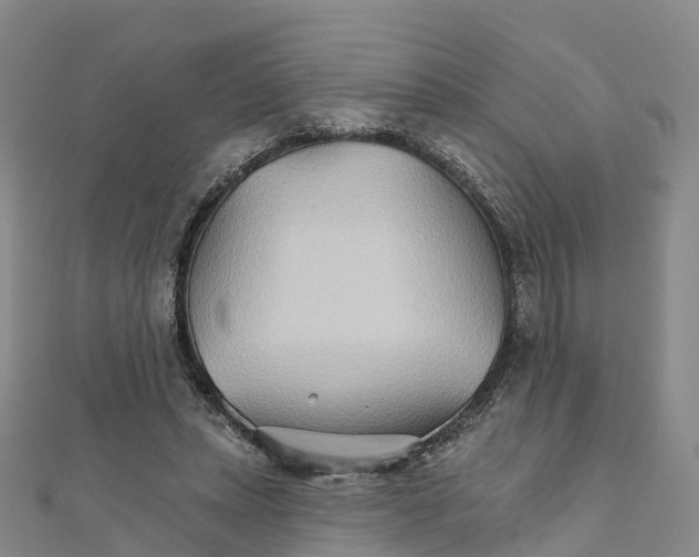 X0000111510447200908111312