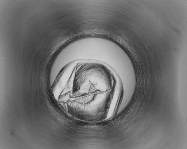 X0000111510448200908111312