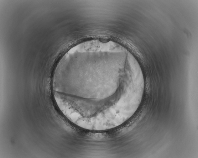 X0000111510449200908111312