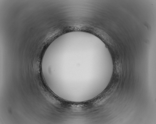 X0000111510450200908111312
