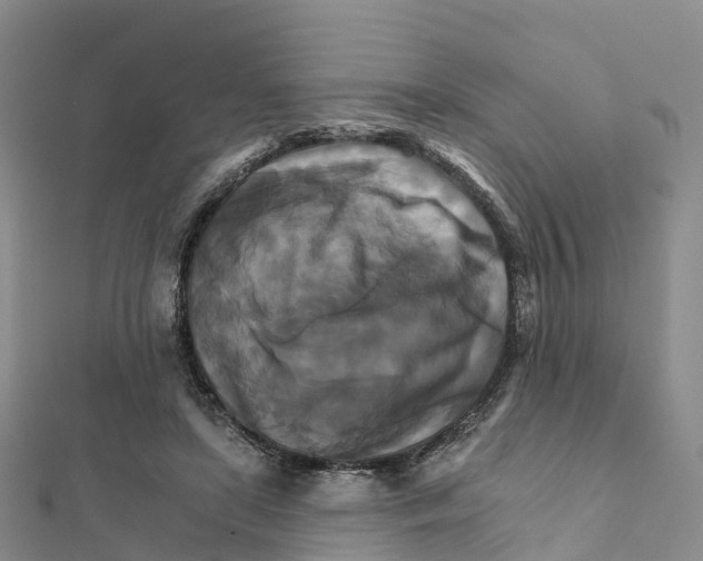 X0000111510451200908111312