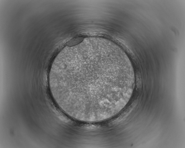 X0000111510453200908111313