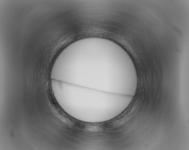 X0000111510454200908111313