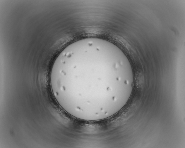 X0000111510455200908111313