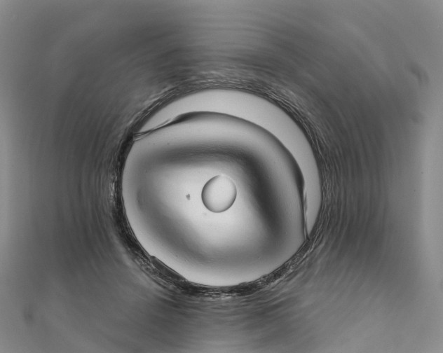 X0000111510456200908111313