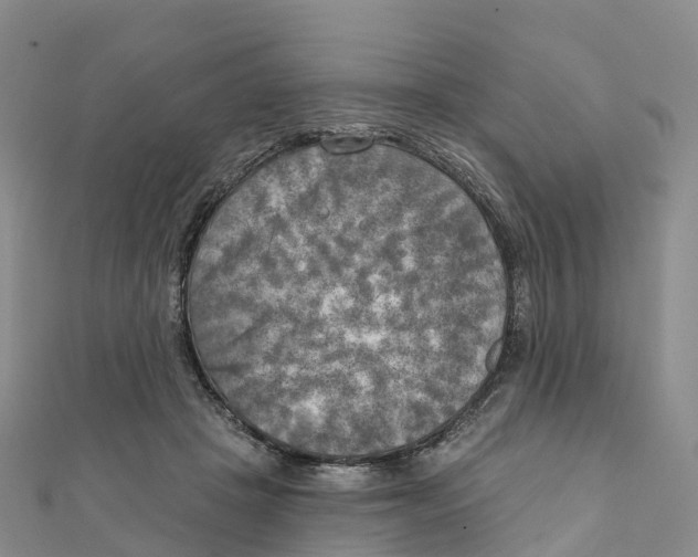 X0000111510457200908111313