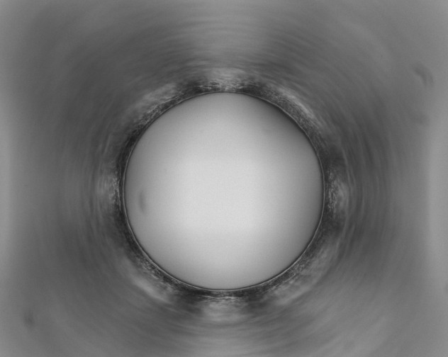 X0000111510459200908111313