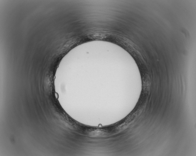 X0000111510460200908111313
