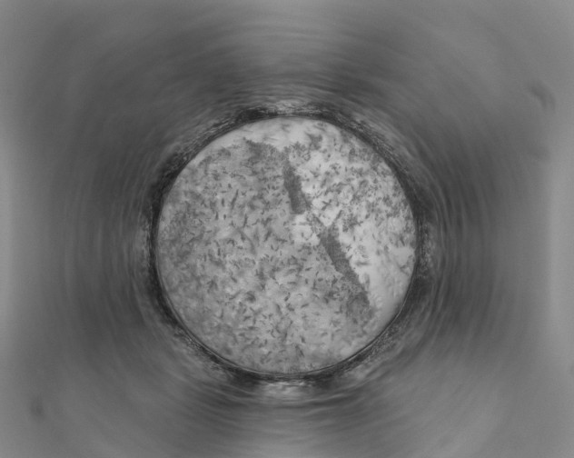 X0000111510461200908111313