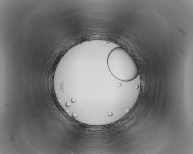 X0000111510462200908111313