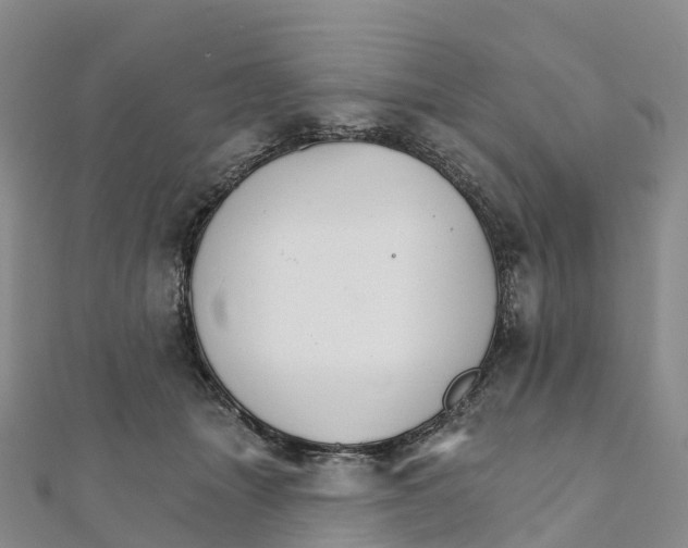 X0000111510463200908111313
