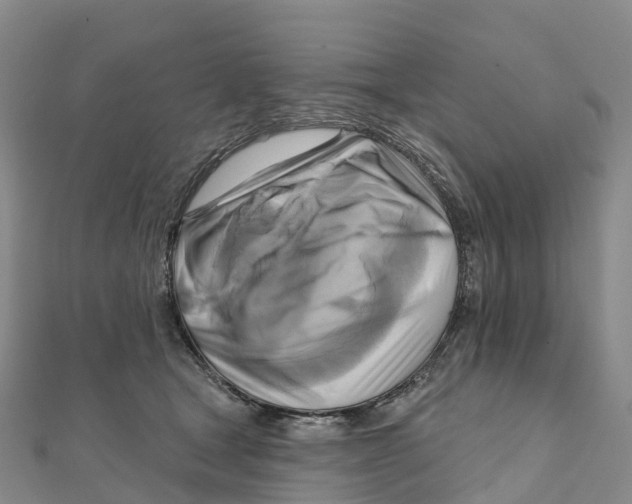 X0000111510465200908111313