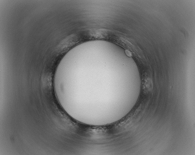 X0000111510466200908111313