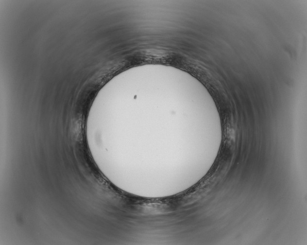 X0000111510468200908111313