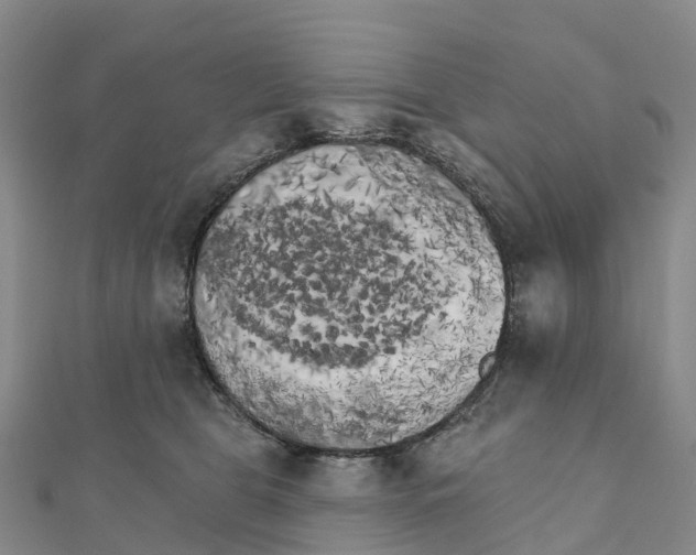 X0000111510469200908111313