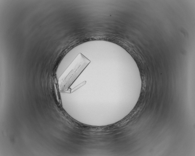X0000111510470200908111313