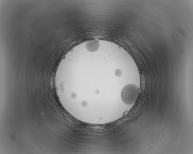 X0000111510471200908111313