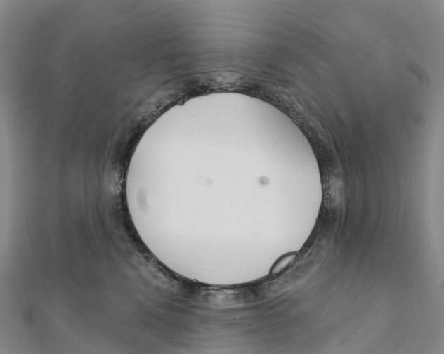 X0000111510472200908111313