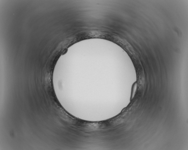 X0000111510473200908111313
