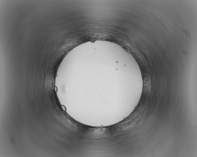 X0000111510474200908111313