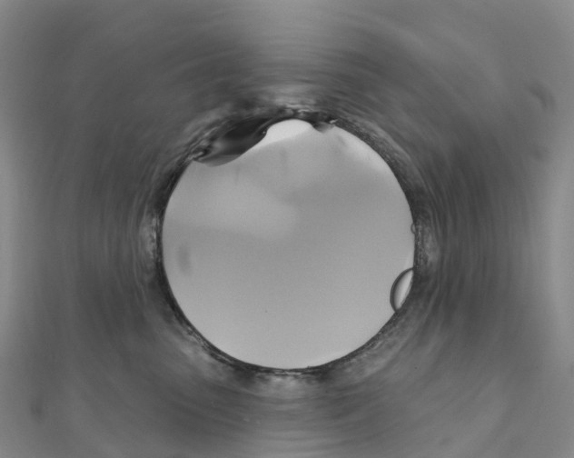 X0000111510475200908111313