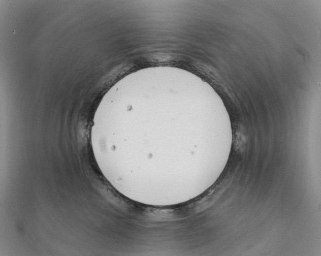 X0000111510476200908111313