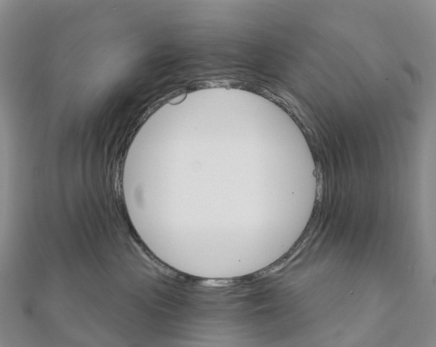 X0000111510477200908111313