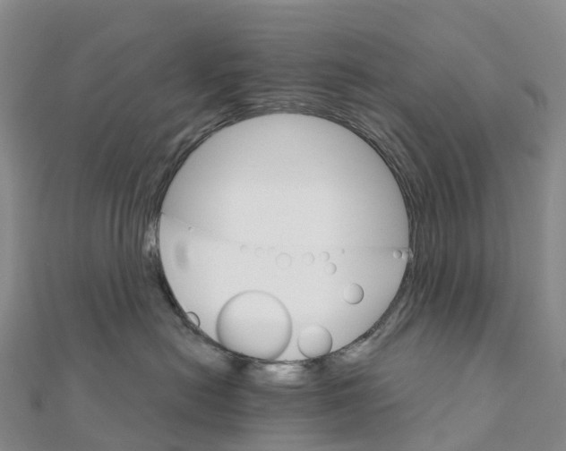 X0000111510478200908111313