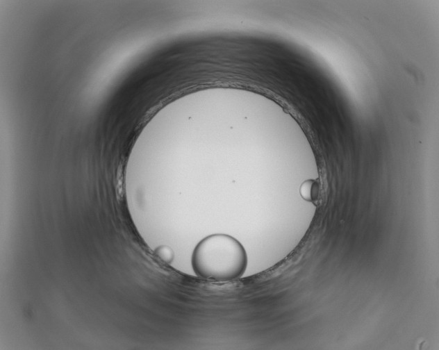 X0000111510479200908111313