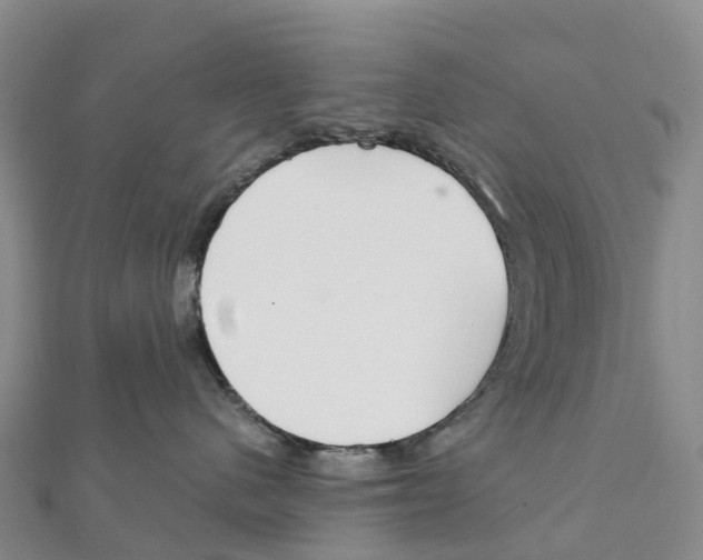 X0000111510480200908111313