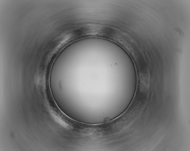 X0000111510482200908111312
