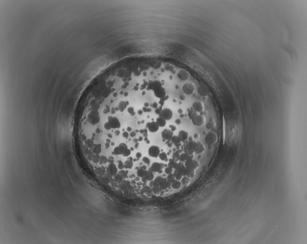 X0000111510483200908111312