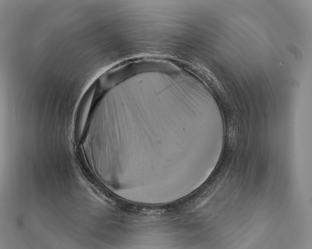 X0000111510484200908111312